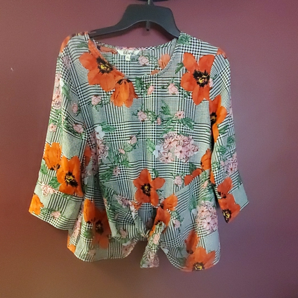 Hint of blush blouse